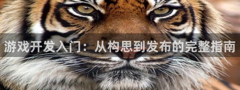 沐鸣娱乐2是正规平台么吗