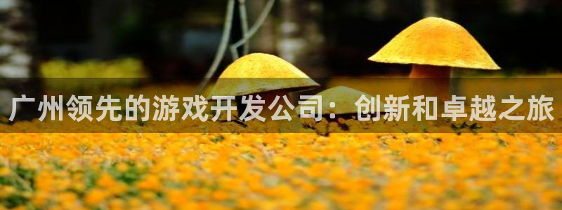 沐鸣2手机网页版