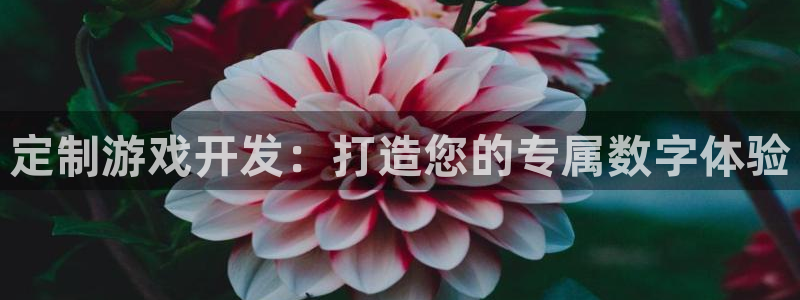 沐鸣2注册开户