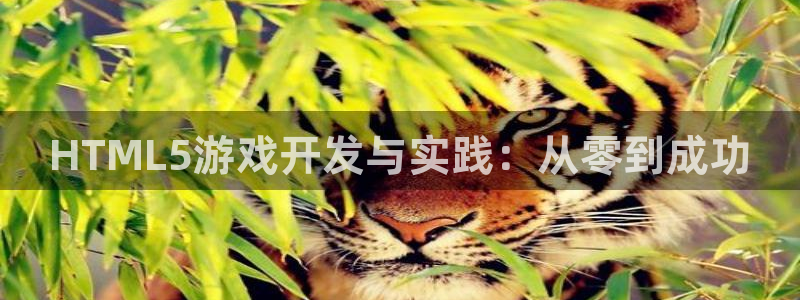 沐鸣2平台注册流程：HTML5游戏开发与实践：从零到成功
