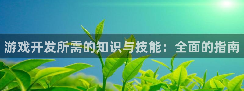 沐鸣2平台官方注册登录：游戏开发所需的知识与技能：全面的指南