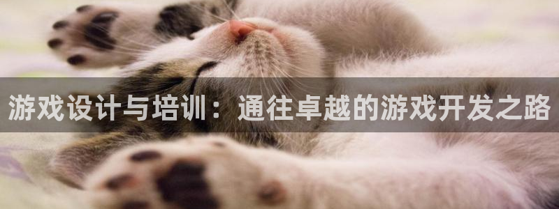 沐鸣2购35994胀：游戏设计与培训：通往卓越的游戏开发之路