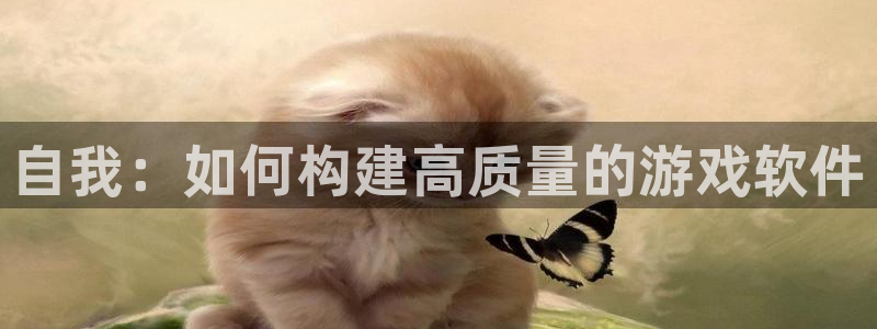 沐鸣娱乐2登录平台官网：自我：如何构建高质量的游戏软件
