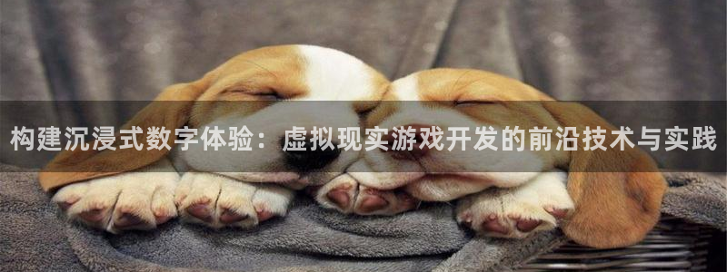 沐鸣2主管：构建沉浸式数字体验：虚拟现实游戏开发的前沿技术与实践