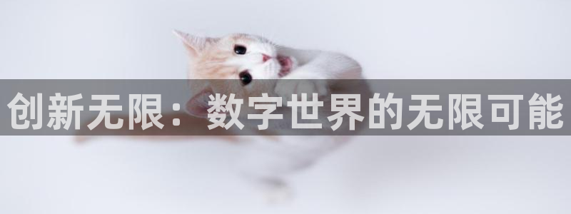沐鸣2输钱能要回来吗：创新无限：数字世界的无限可能