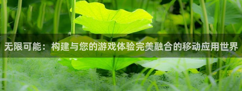 沐鸣娱乐2下载：无限可能：构建与您的游戏体验完美融合的移动应用世界