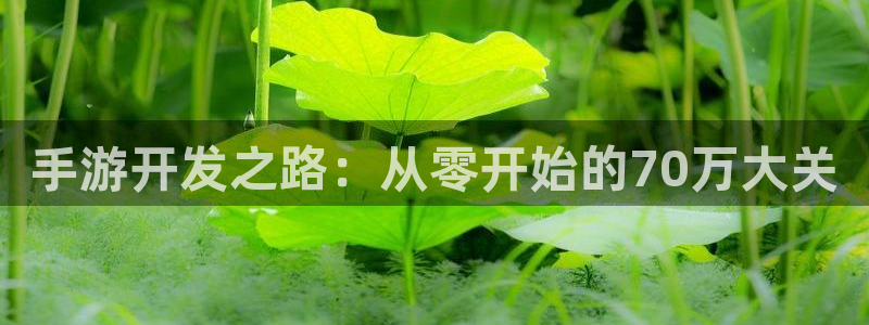 沐鸣2挂机注册：手游开发之路：从零开始的70万大关