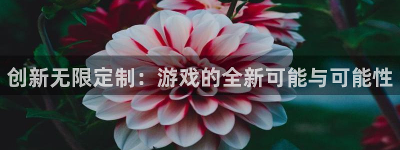 沐鸣娱乐2输钱了：创新无限定制：游戏的全新可能与可能性