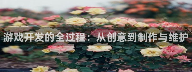 沐鸣2注册平台：游戏开发的全过程：从创意到制作与维护