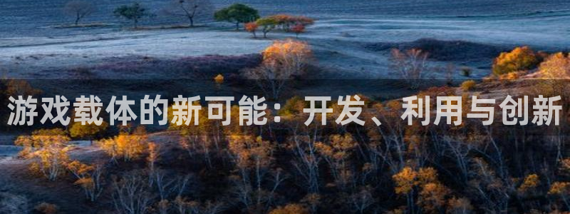 沐鸣娱乐2登陆不上怎么办：游戏载体的新可能：开发、利用与创新