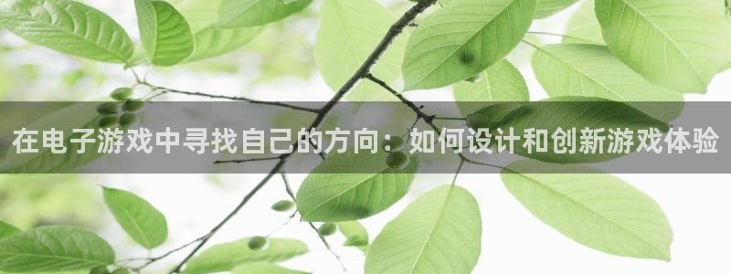 沐鸣2注册登陆：在电子游戏中寻找自己的方向：如何设计和创新游戏体验