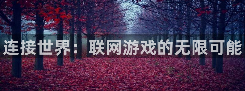 沐鸣娱乐2登录平台是什么软件：连接世界：联网游戏的无限可能