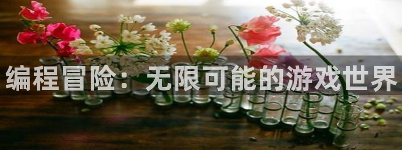 沐鸣2测速：编程冒险：无限可能的游戏世界