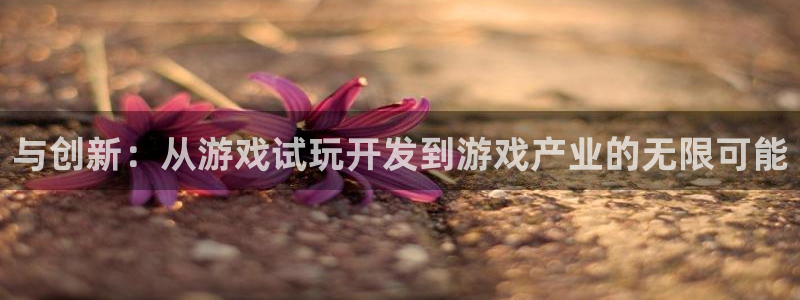 沐鸣娱乐平台2注册：与创新：从游戏试玩开发到游戏产业的无限可能