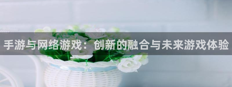 沐鸣2注册流程：手游与网络游戏：创新的融合与未来游戏体验