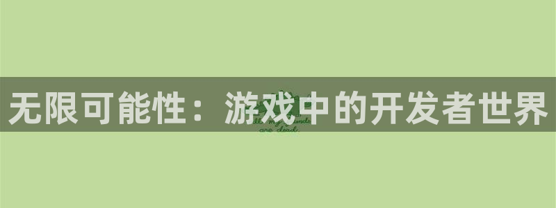 沐鸣2代理官网：无限可能性：游戏中的开发者世界